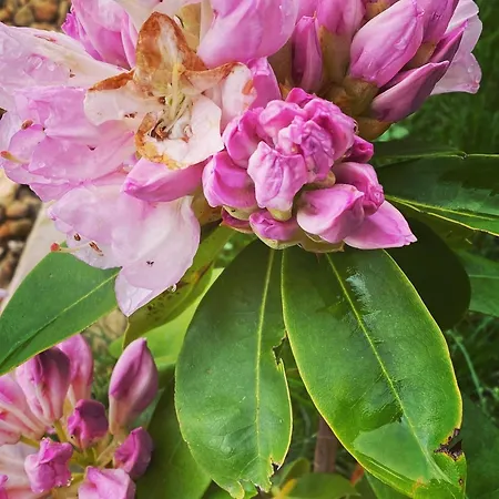 Cerro Del Mariscal 別荘