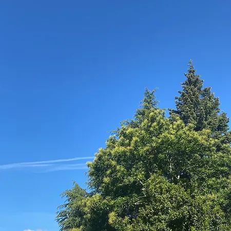 Cerro Del Mariscal 別荘 Sequeros