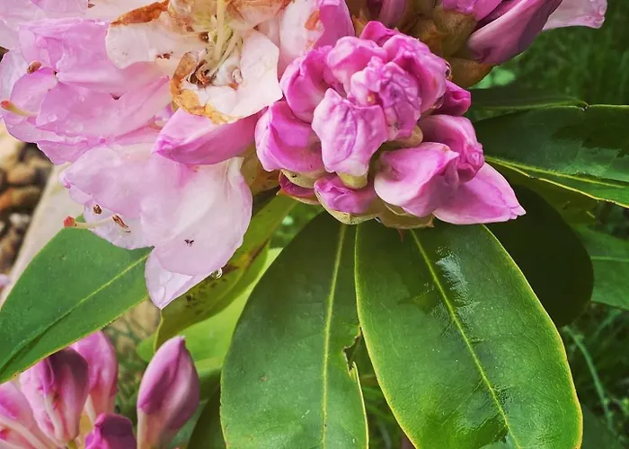 Cerro Del Mariscal Σπίτι διακοπών
