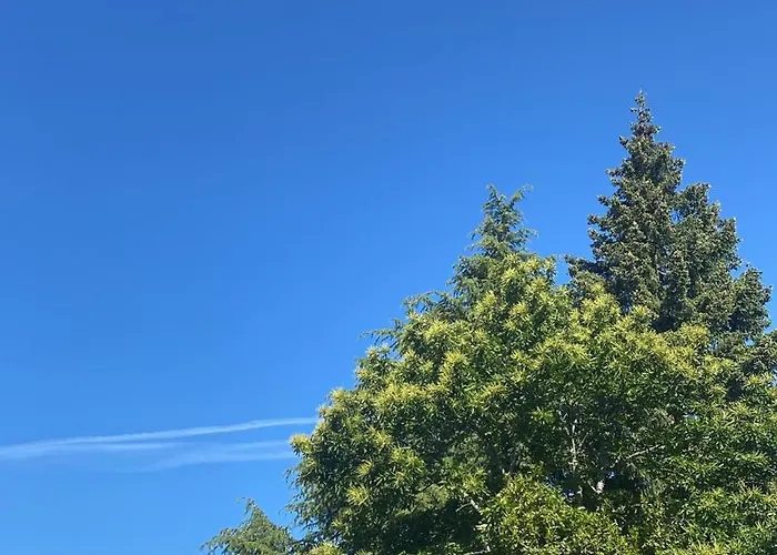 Cerro Del Mariscal Casa vacanze Sequeros